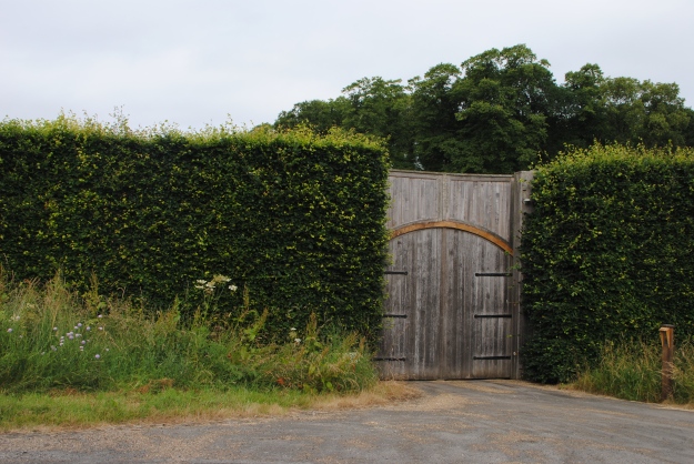 Who needs privacy fences when you have hedges like this?